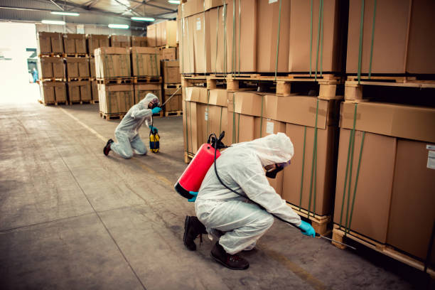 Best Flea Control Services  in Glen Cove, NY