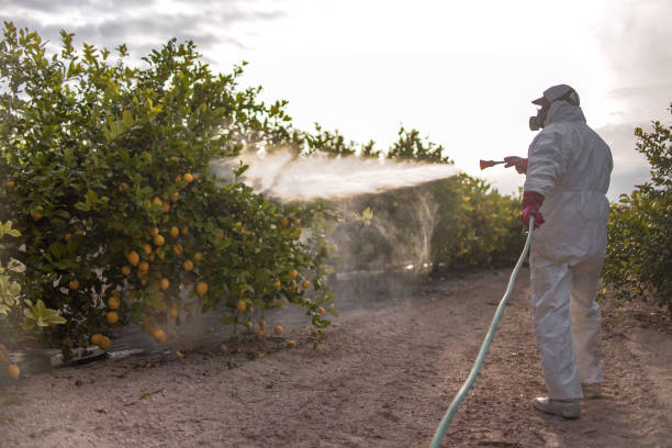 Best Residential Pest Control  in Glen Cove, NY
