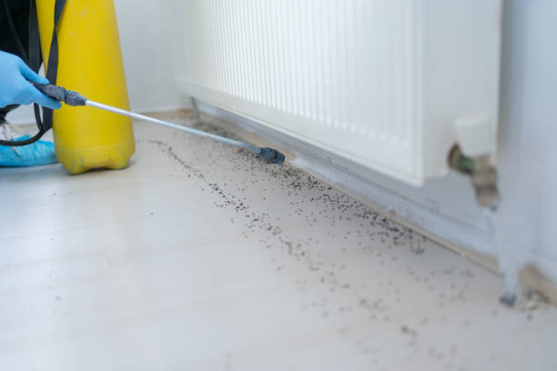 Best Mosquito Control Services  in Glen Cove, NY