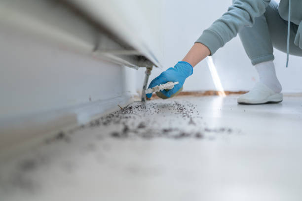 Glen Cove, NY Pest Control Company